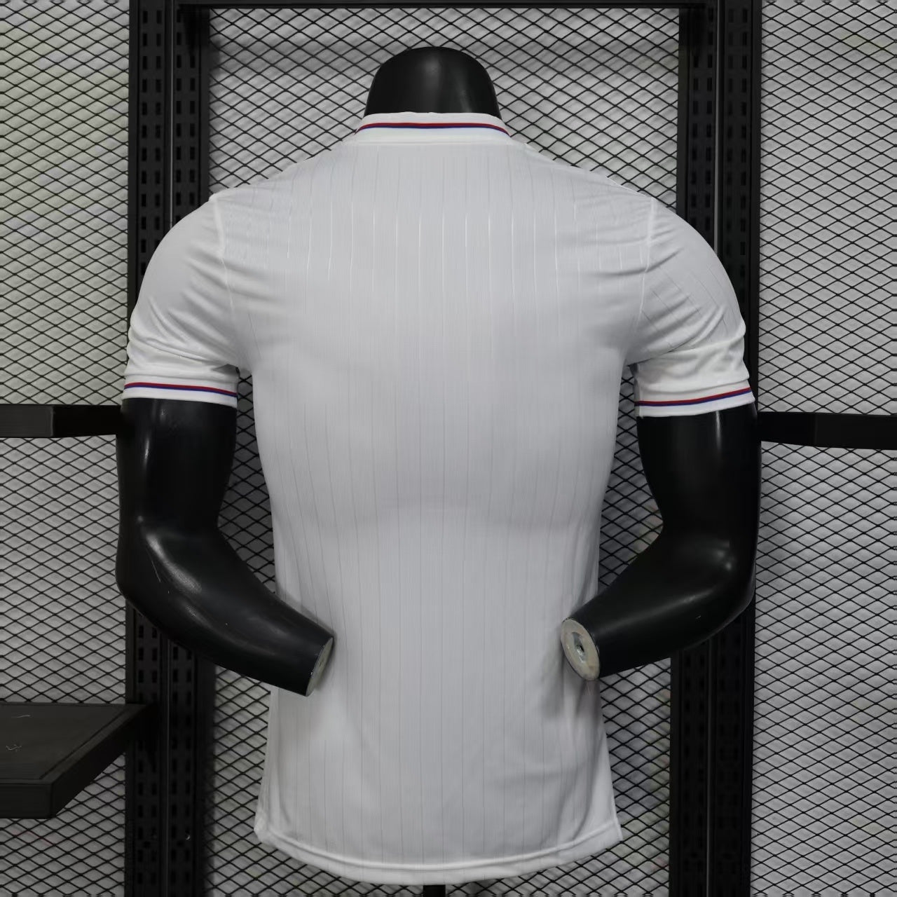 Olympique Lyonnais Anniversary Edition